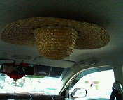 コレは何のおまじない？