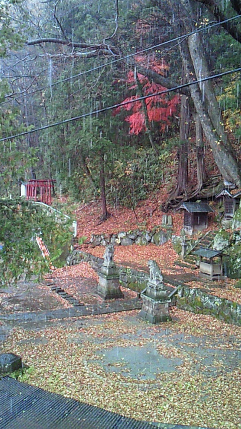 雪が降ってる・・・