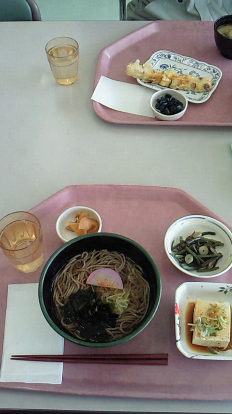 そろそろ飽きて来たかな？？？