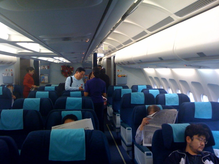 未だ飛んで無いから